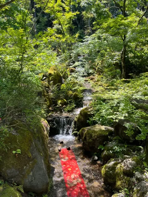 ゆのくにの森 友禅流し|清流に加賀友禅の布が流れる石川県を代表する幻想的な伝統工芸の風景