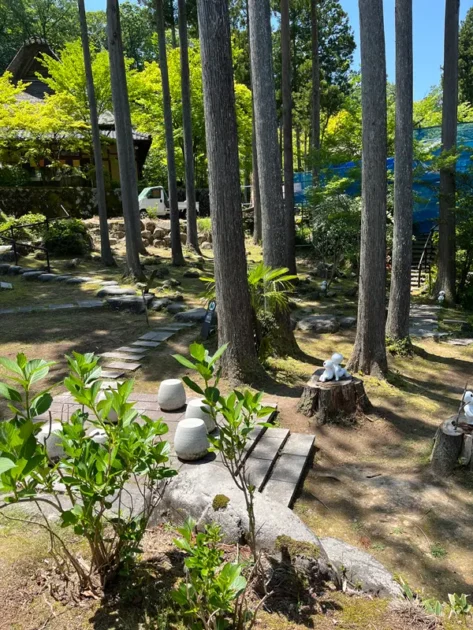 ゆのくにの森 こだまの森|もののけ姫のこだまが点在する杉林の神秘的な穴場スポット