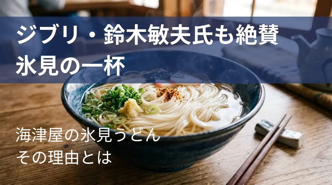 海津屋の氷見うどんを丼に盛り付けたイメージ